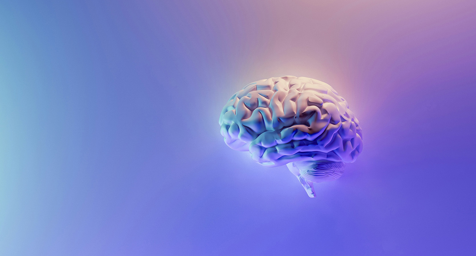 artistic representation of the brain