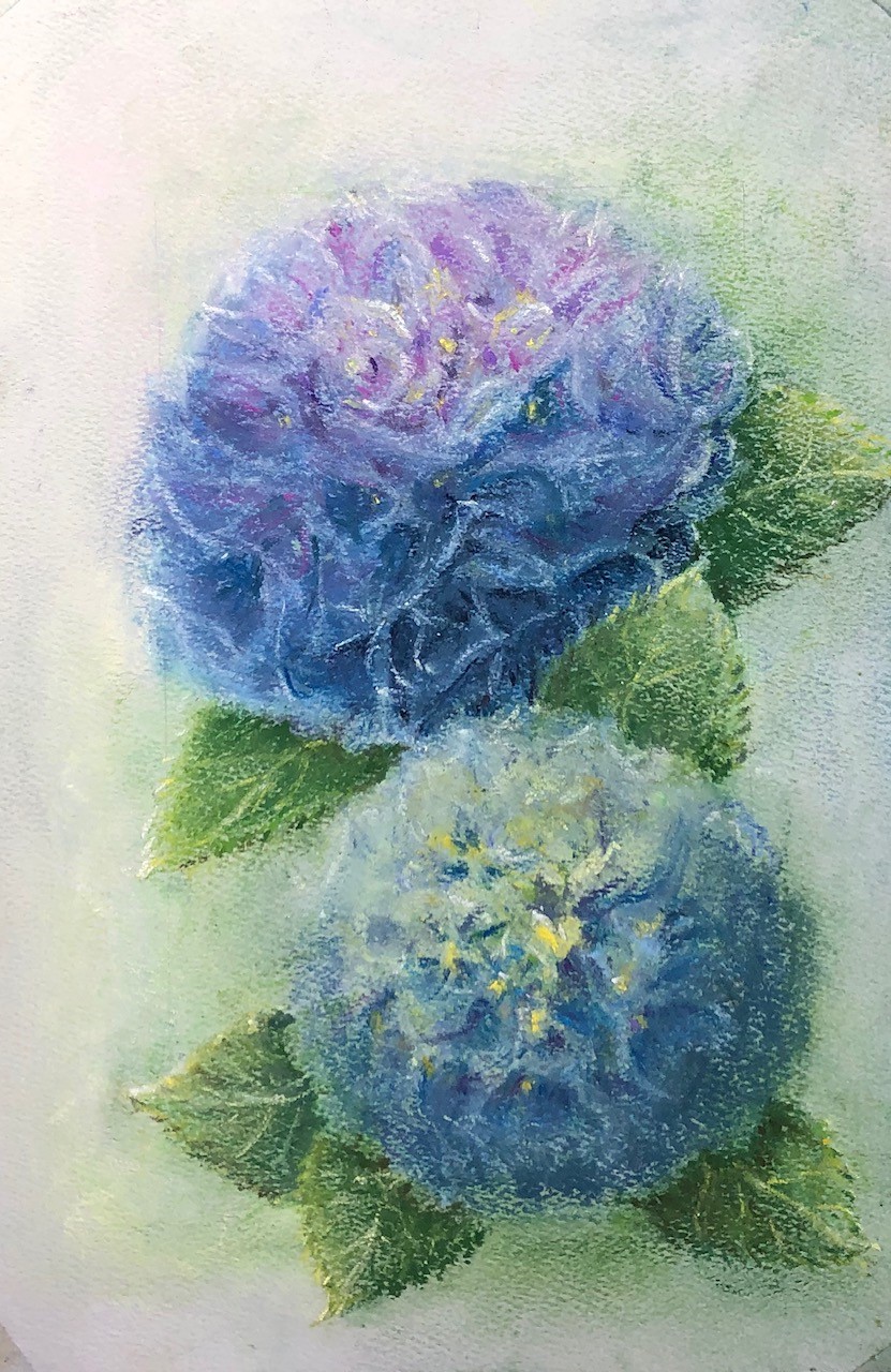 a pastel drawing of purple flowers